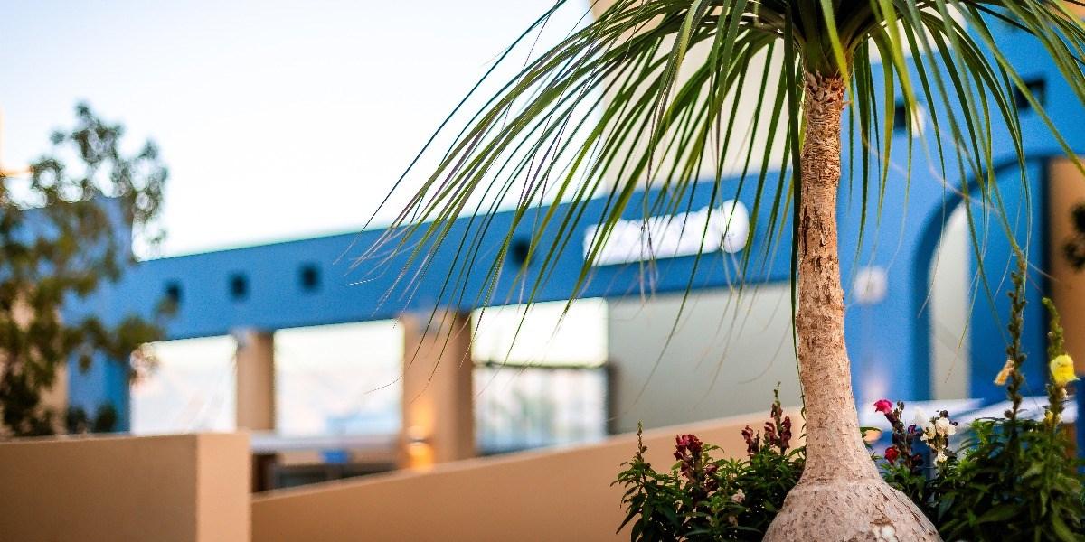 Almogim Suites Eilat Hotel (Adults Only) Εξωτερικό φωτογραφία